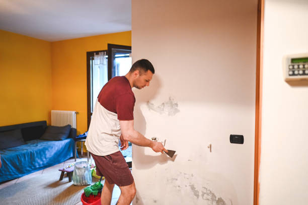 Best Home Mold Removal  in Collegedale, TN